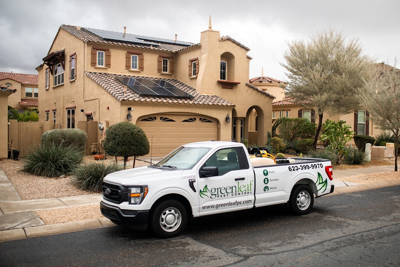 Greenleaf Pest Control project